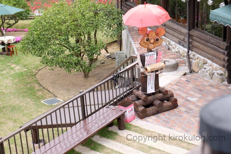 shibazakurafuji (15)