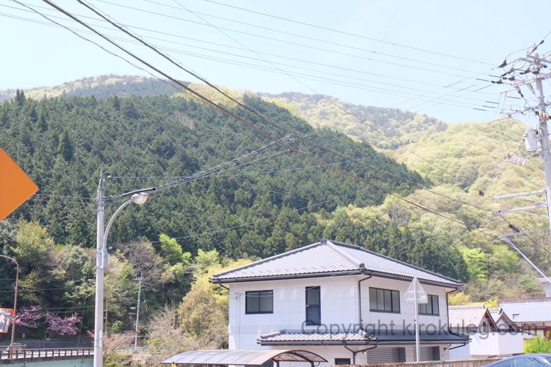 tanikawabeikokuten (6)