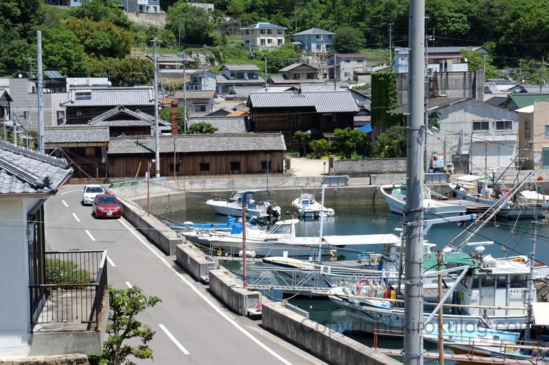 sekachu-rokechi-ajicho (1)