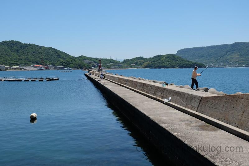 sekachu-rokechi-ajicho (5)