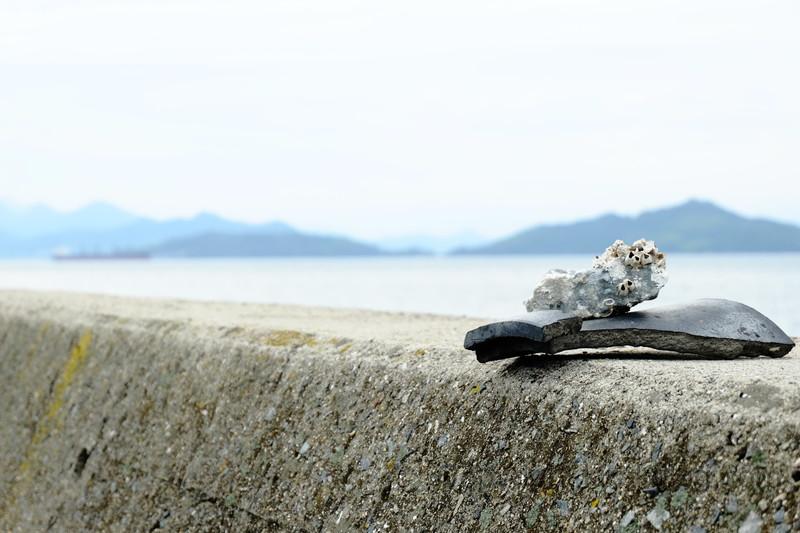 awashima umihotaru (10)