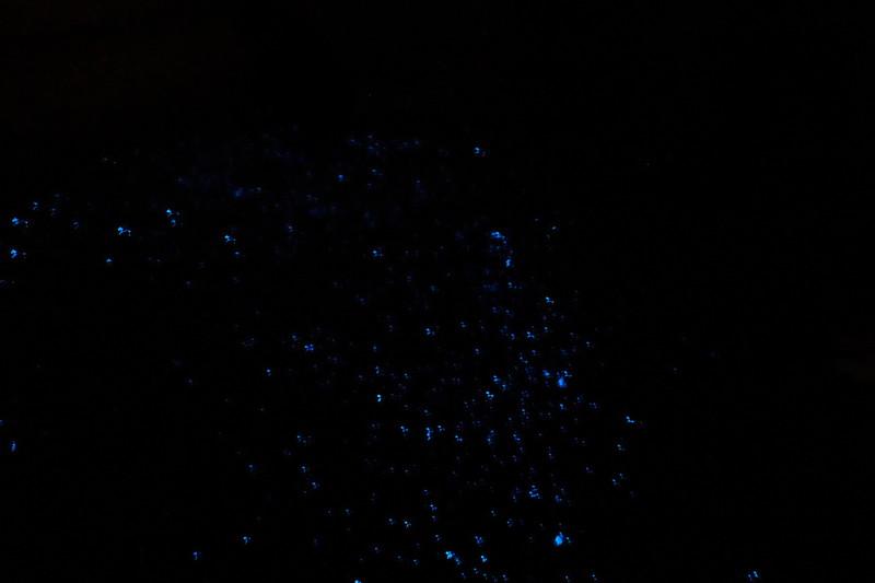 awashima-umihotaru-11