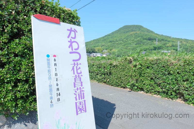 kawatsuhanashoubuen (1)