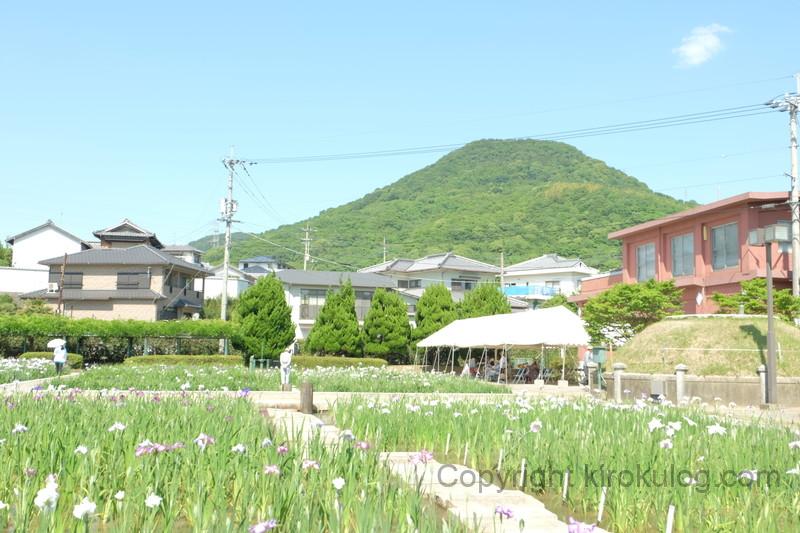 kawatsuhanashoubuen (11)