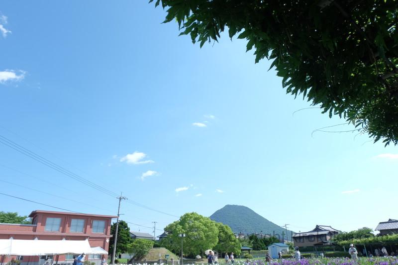 kawatsuhanashoubuen (2)