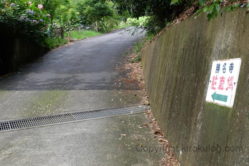 shoumyouji-ajisai (6)