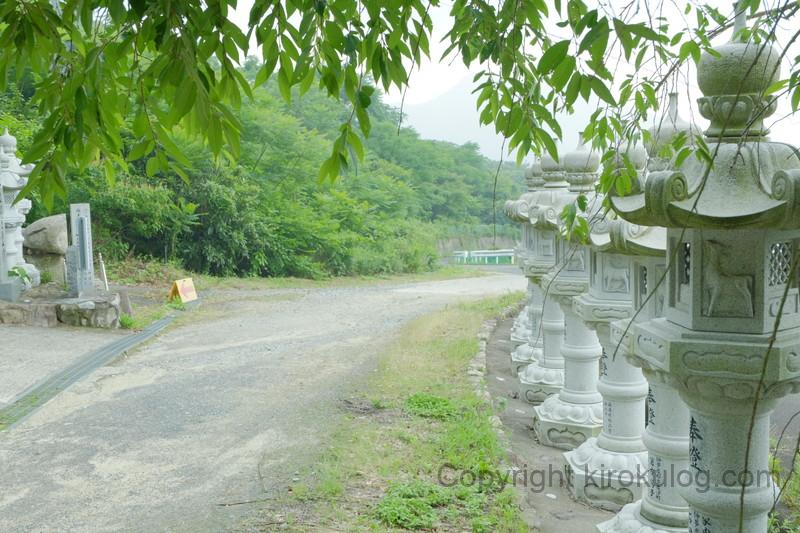 shusshakaji-ajisai (6)